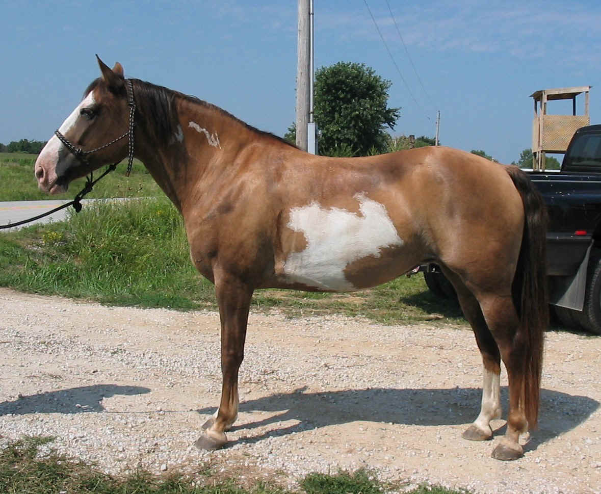 Annie3.JPG (315963 bytes)