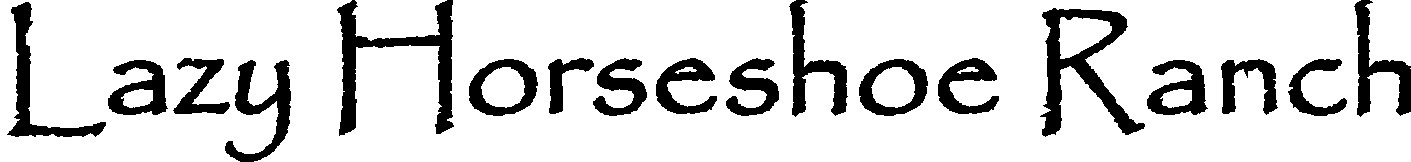 NAME.JPG (48996 bytes)