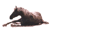 horseroll.gif (11546 bytes)