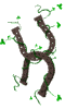horseshoes.gif (6757 bytes)